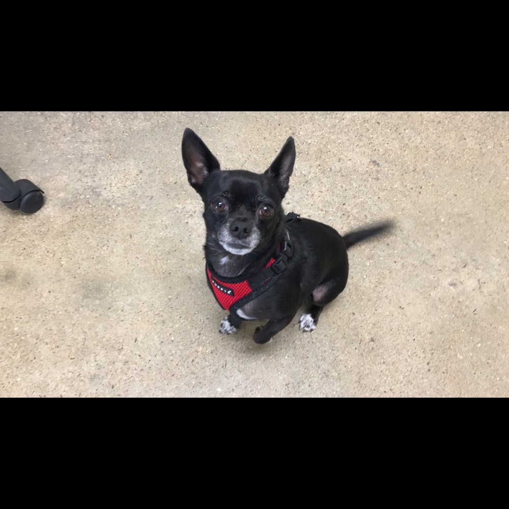 Meet your Posher, Sl